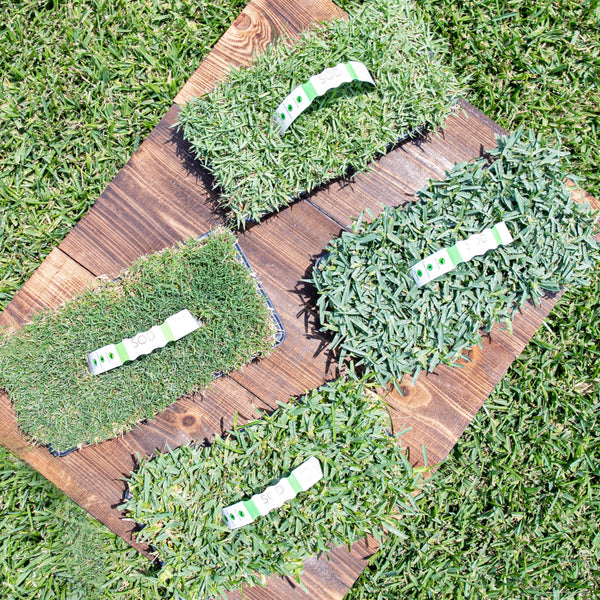 SodPods Reimagined: Tips and Ideas for Your Transformed Lawn