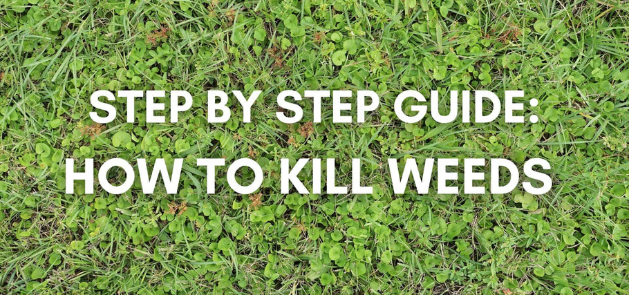 Step-by-step Guide: How to Kill Weeds for a Thriving, Emerald Green Lawn