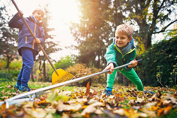 Well-manicured lawn with leaves neatly collected in bags.