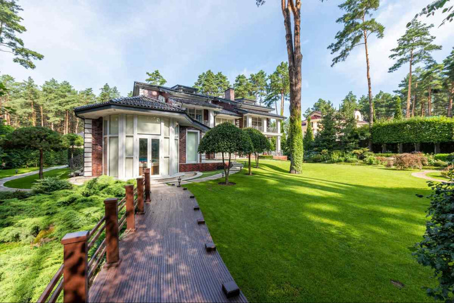 Why Your Lawn is Dying and What to Do About It