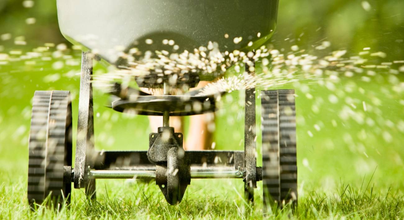 Guide to Summer Lawn Fertilizer