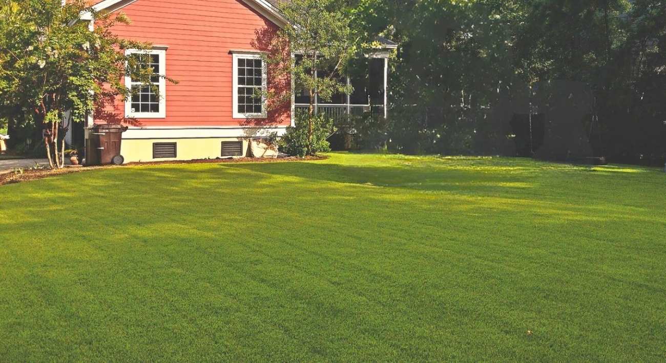 Zoysia Lawn SodPods
