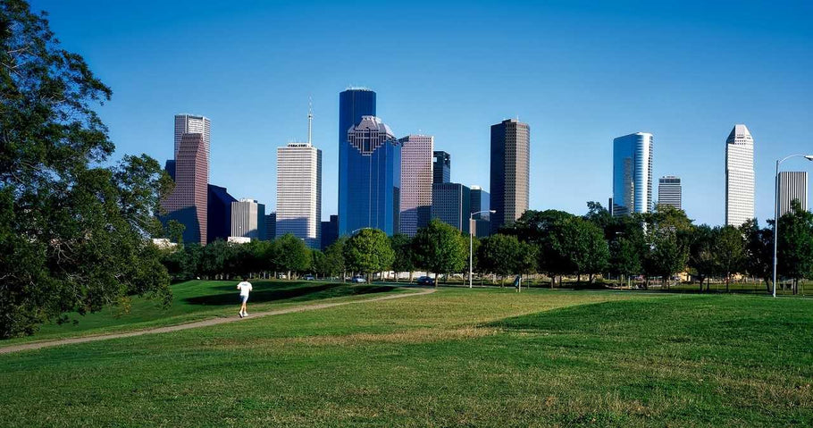 City Living: The Benefits of Grass in Urban Spaces