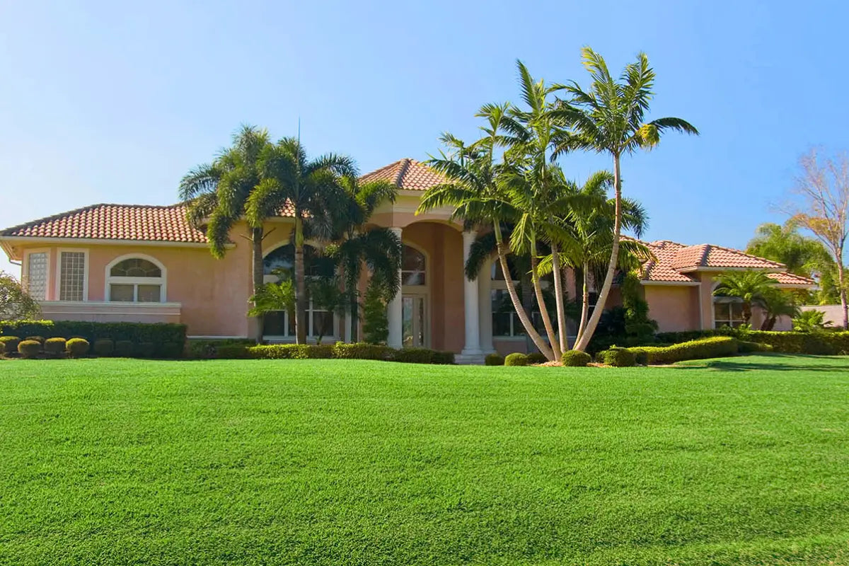 bermuda-grass-care