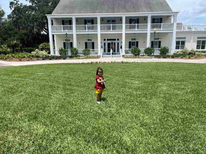 4 Best Drought-Tolerant, Low-Maintenance Grass Varieties