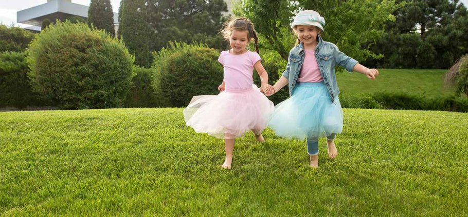 What is the Best Grass for High-Traffic Lawns?