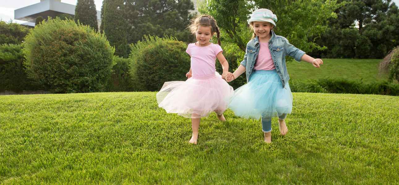 best-grass-for-high-traffic-lawns