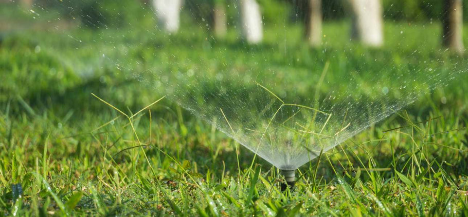 Best Practices for Watering Lawns in Florida