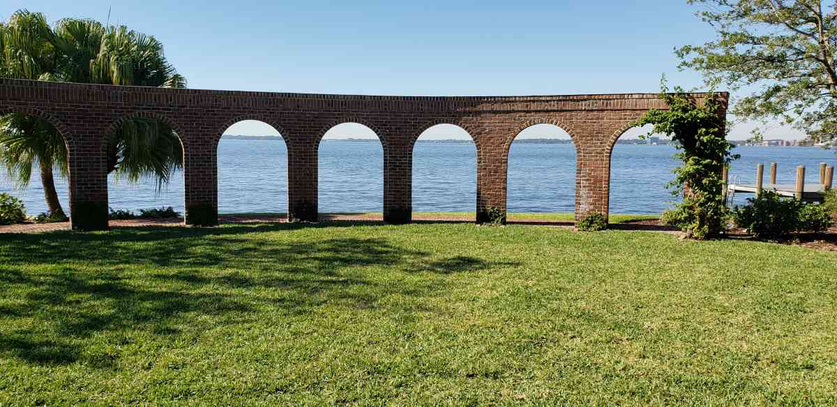 best-st-augustine-grass