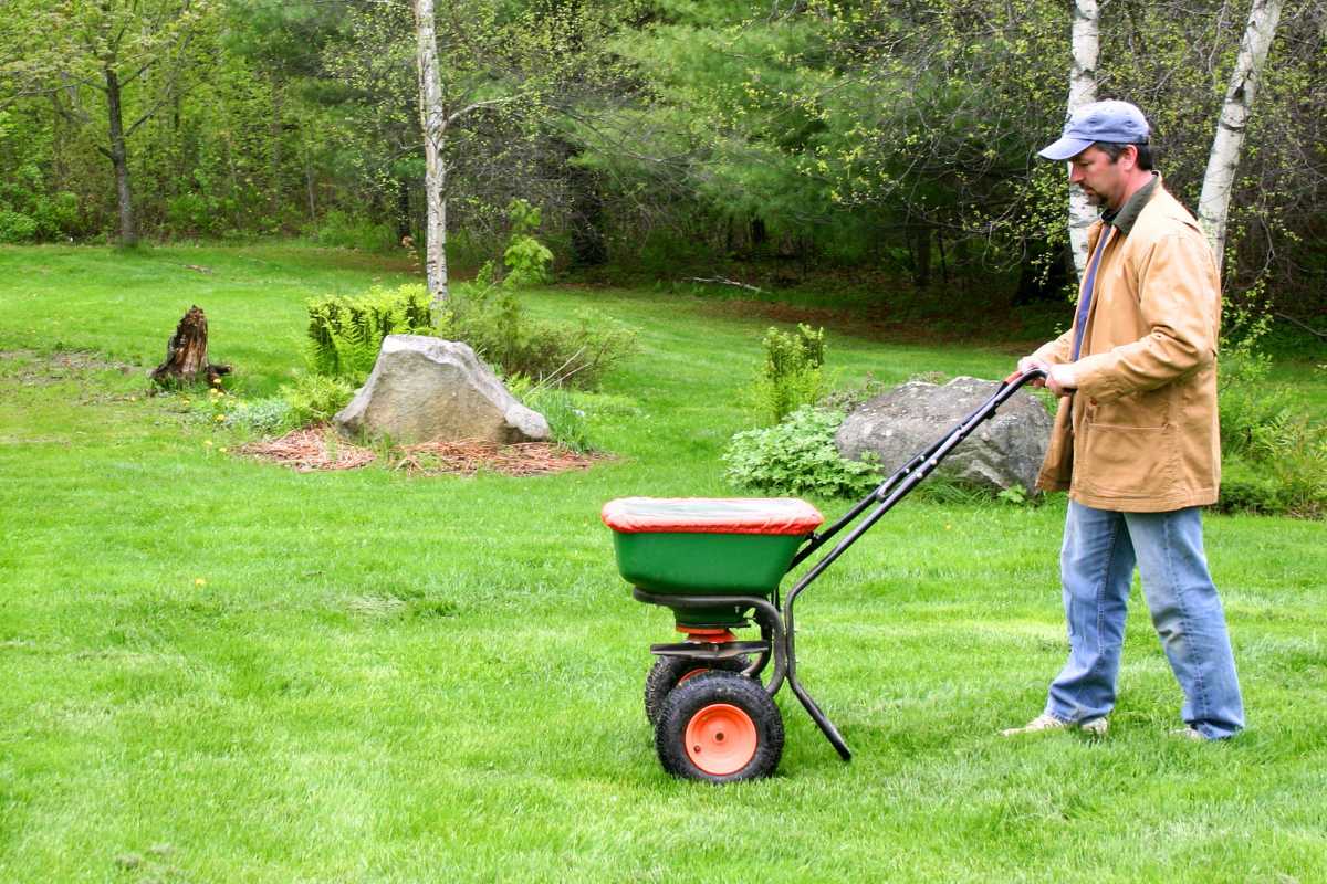 best-time-to-apply-pre-emergent-weed-killer