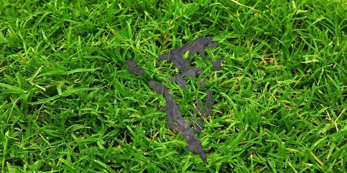black-slime-mold-on-grass-blades
