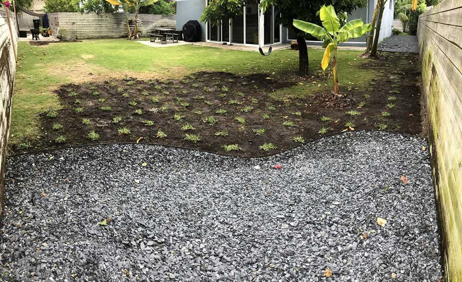 Building a Lawn in Phases? Grass Plugs Let You Grow as You Go