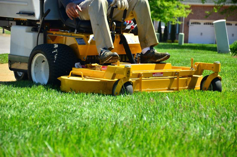 Can You Make Your Own Grass Plugs?