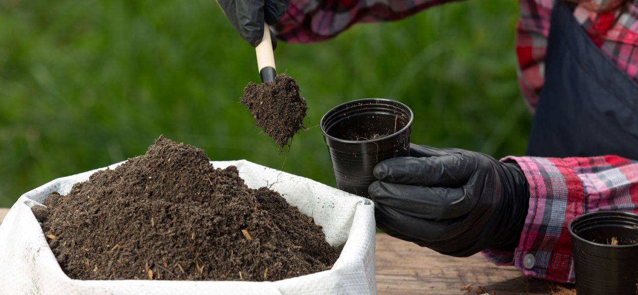 closeup-of-gardener's-hands-planting-plant