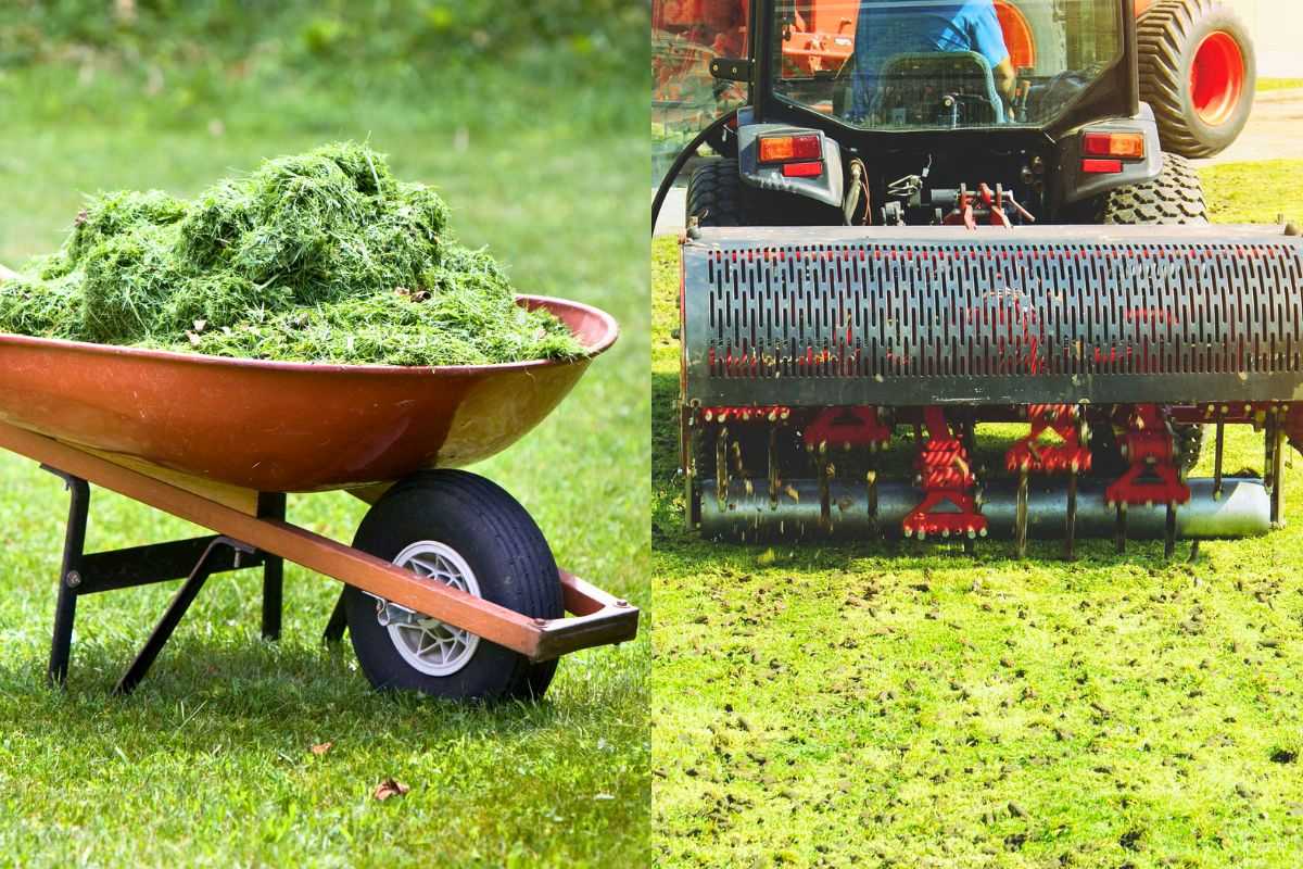 dethatching-vs-aeration