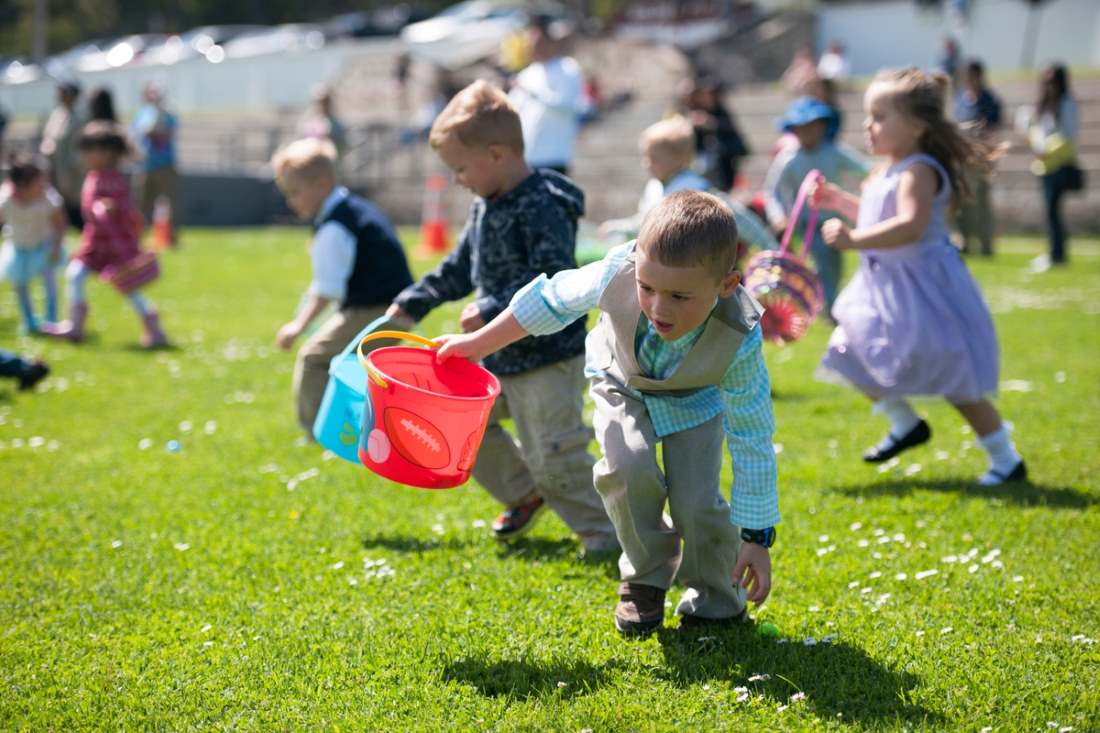 easter-egg-hunt-lawn-repair-grass-plugs