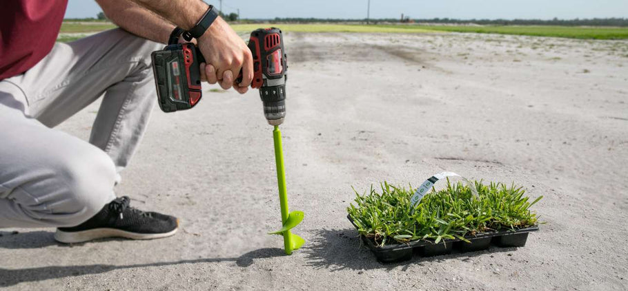 How Deep Should You Dig for Grass Plugs?