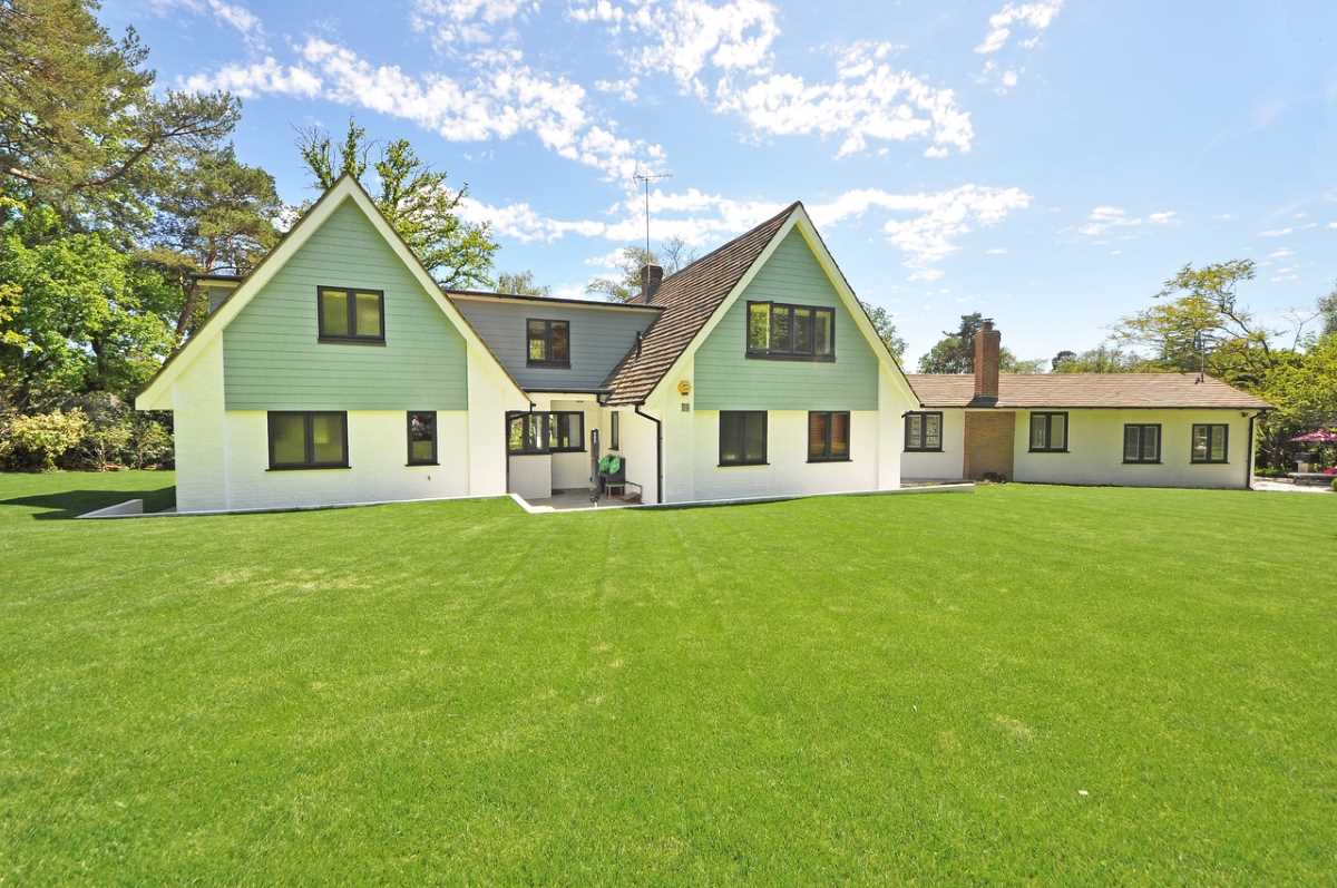 fix-rental-lawn-with-grass-plugs