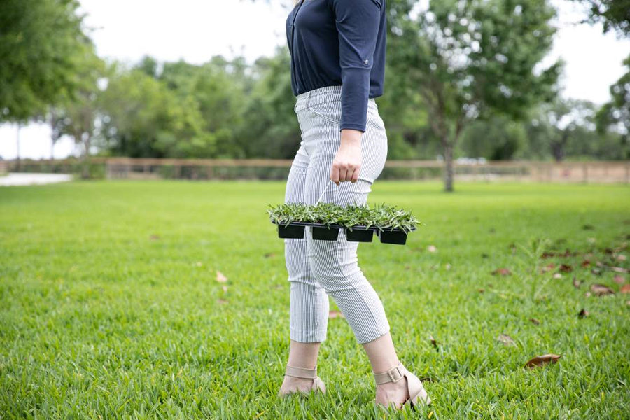 9 Common Grass Plug Mistakes That Slow Growth & How to Fix Them