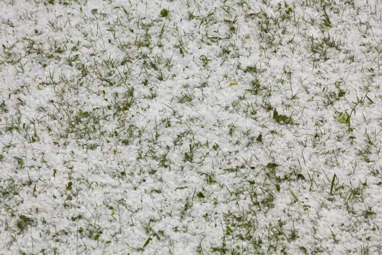  grass pods specially designed to withstand harsh weather conditions.