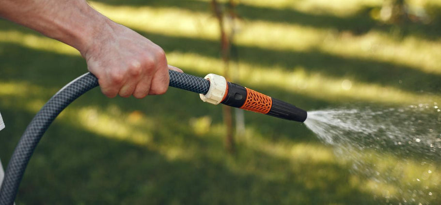 Your Guide to Sustainable Lawn Care Practices