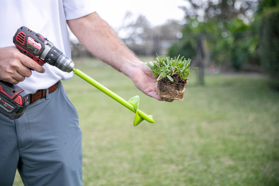 How to Help New Grass Plugs Survive in the Heat