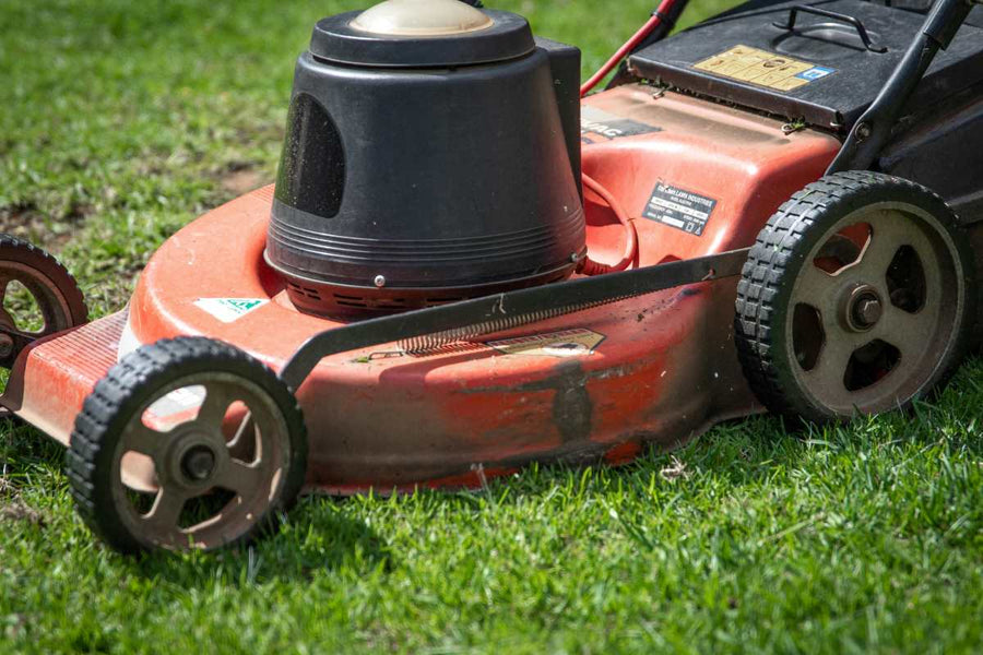 How Long Should You Wait to Mow New Grass?