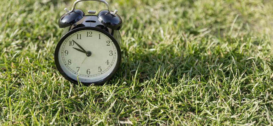 How Long Should You Water Your Lawn?