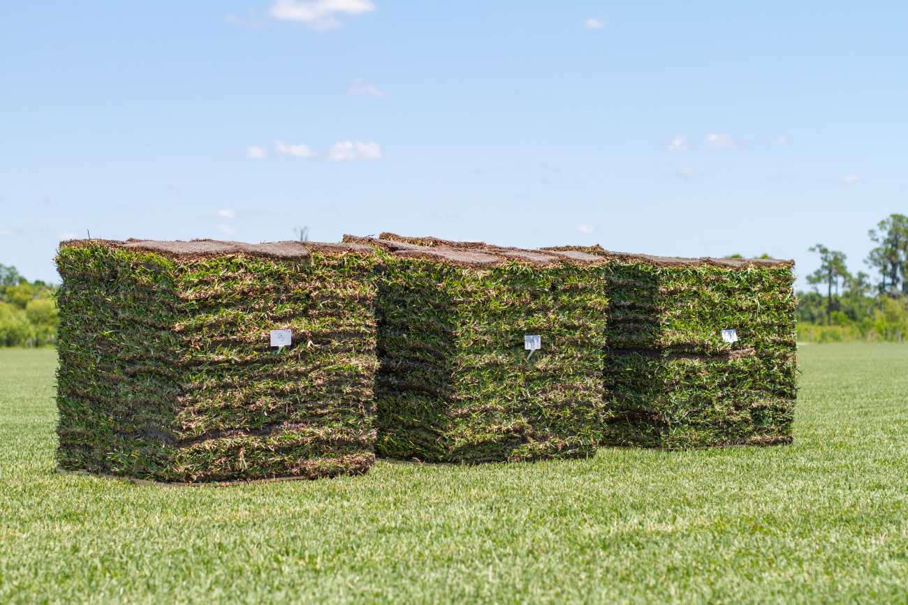how-much-is-sod