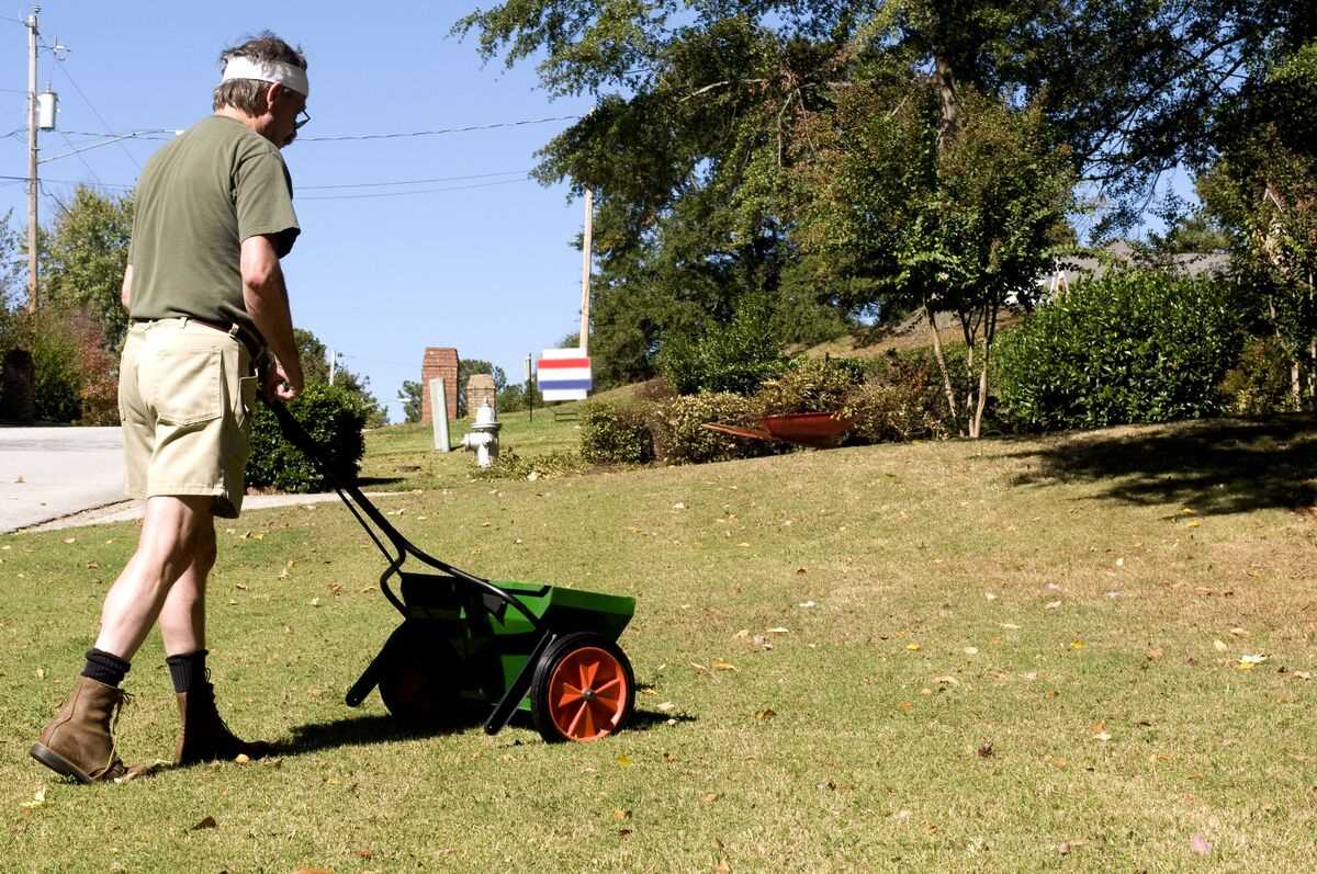 how-much-lawn-care-service-cost-florida