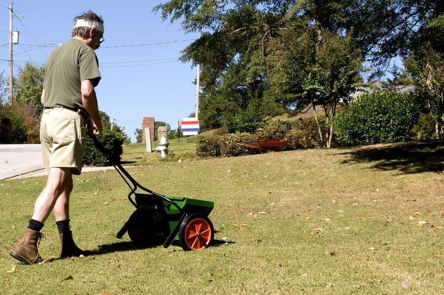 How to Save on Lawn Care Services in Florida