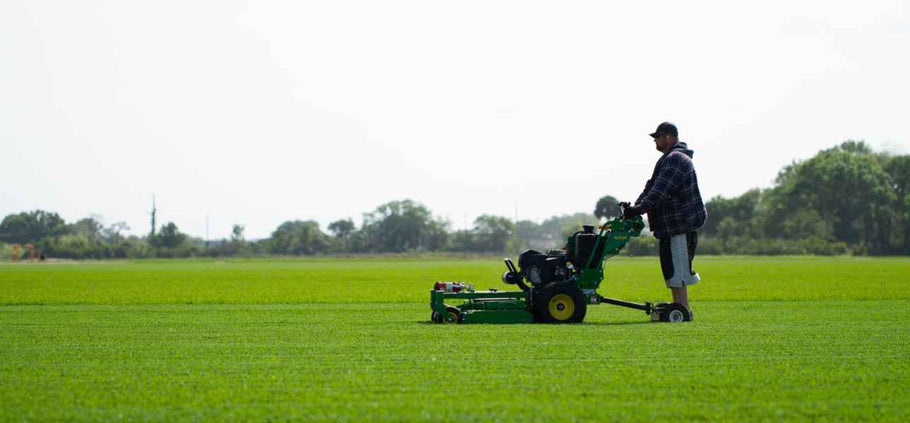 How Often Should You Mow Your Lawn?