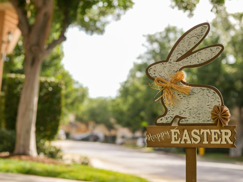 Spring Lawn Revival: How to Fix Patches Before Easter