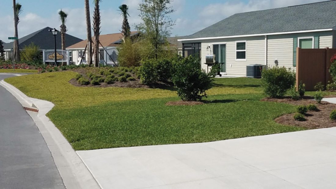how-to-grow-grass-in-shade