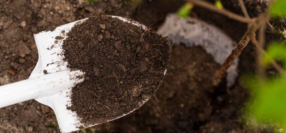 How to Improve Drainage in Clay Soil
