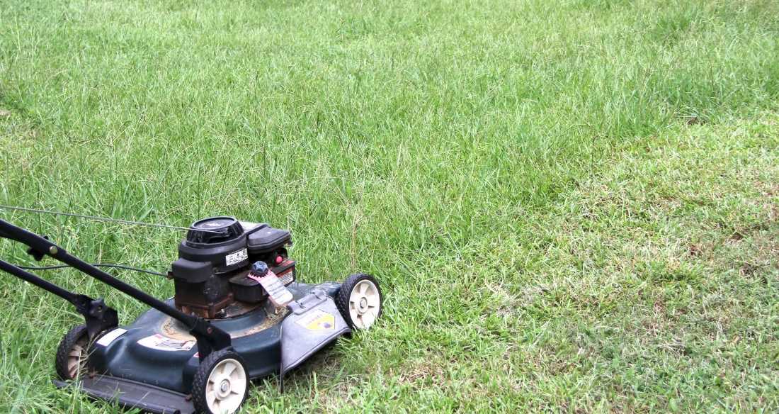 how-to-keep-grass-from-clumping