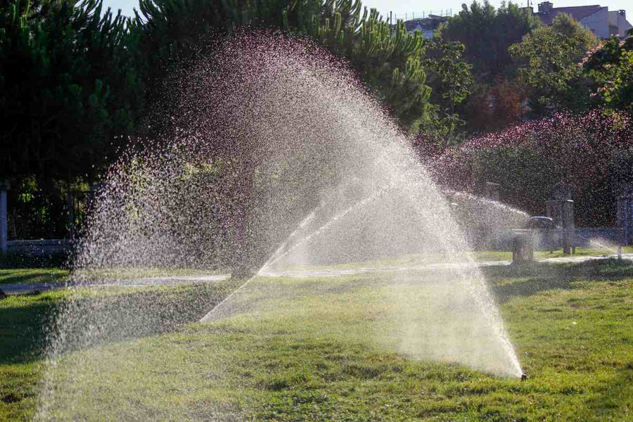 How to Increase Drought Tolerance in Lawns