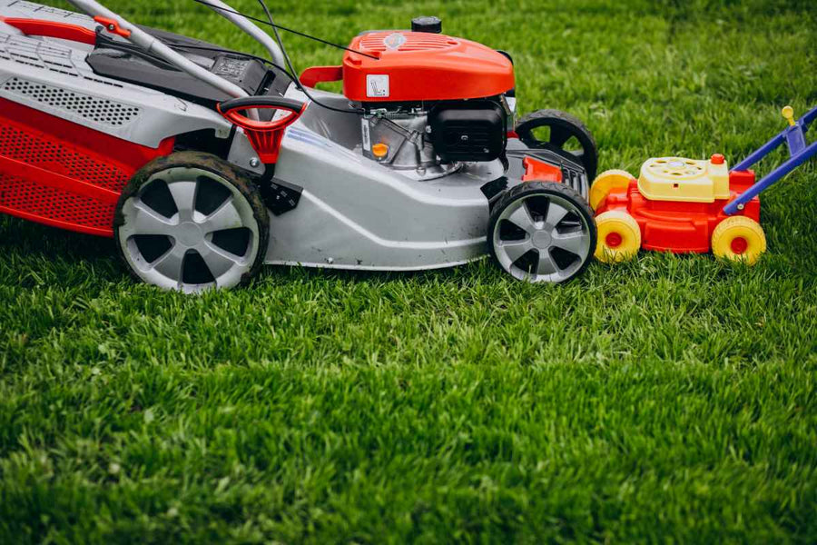 How to Mow Your Lawn When It's Too Rainy