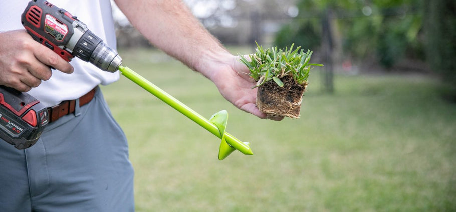How to Start a Lawn with SodPods® Grass Plugs in Spring