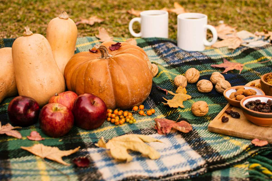 5 Tips to Make Your Lawn Ready for Thanksgiving Guests