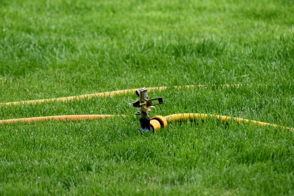 how-to-properly-water-lawn
