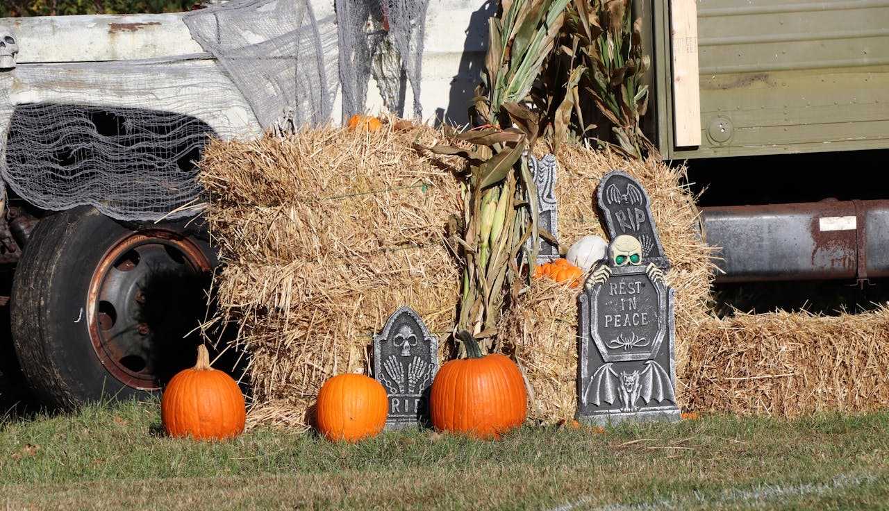 how-to-protect-your-lawn-for-hallween