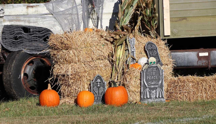 Trick-or-Treat Ready: How to Protect Your Lawn This Halloween