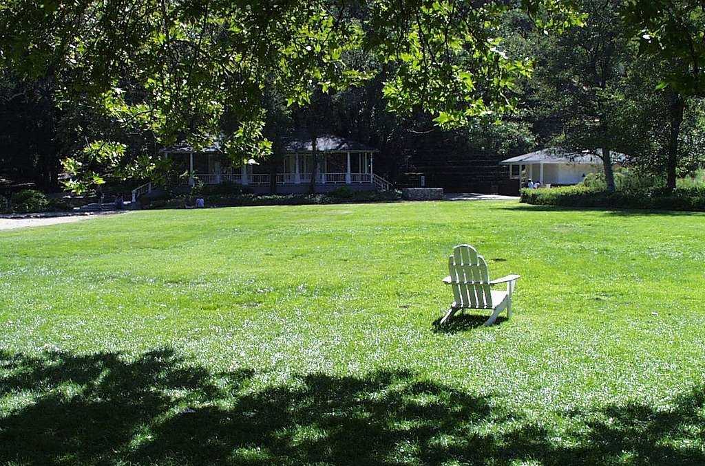 how-to-switch-to-new-grass