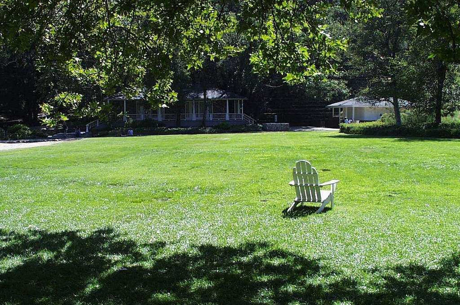 Yes, You Can Switch Grass Types Without Starting from Scratch