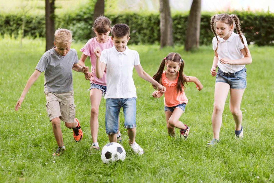 How to Prepare Your Lawn for High Traffic Activities