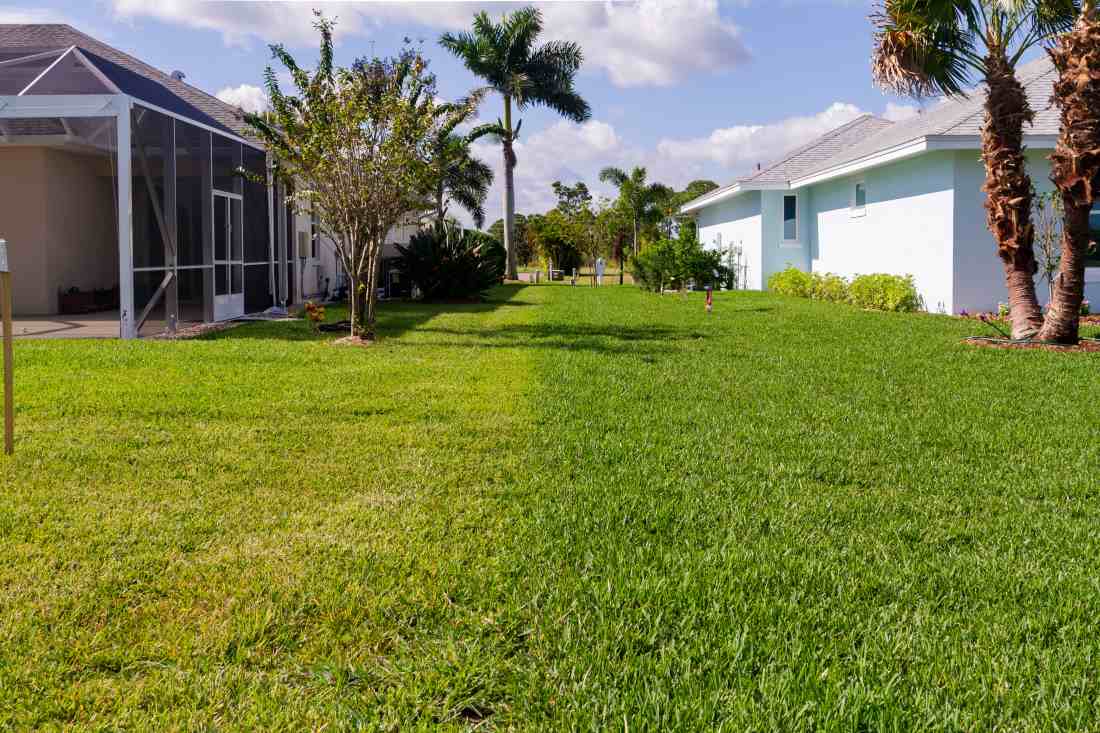 lawn-decorating-ideas-for-summer