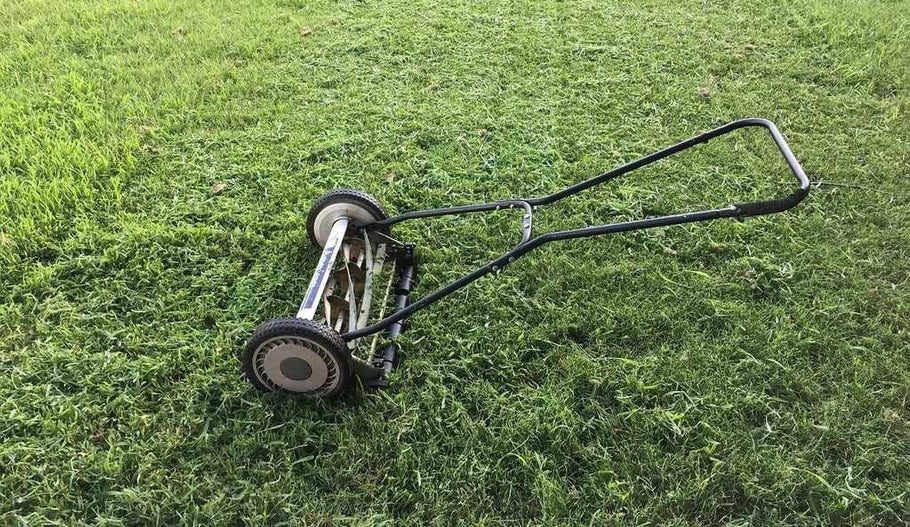7 Mowing Tips to Disguise Thin Grass & Real Solutions to Help It Grow Back