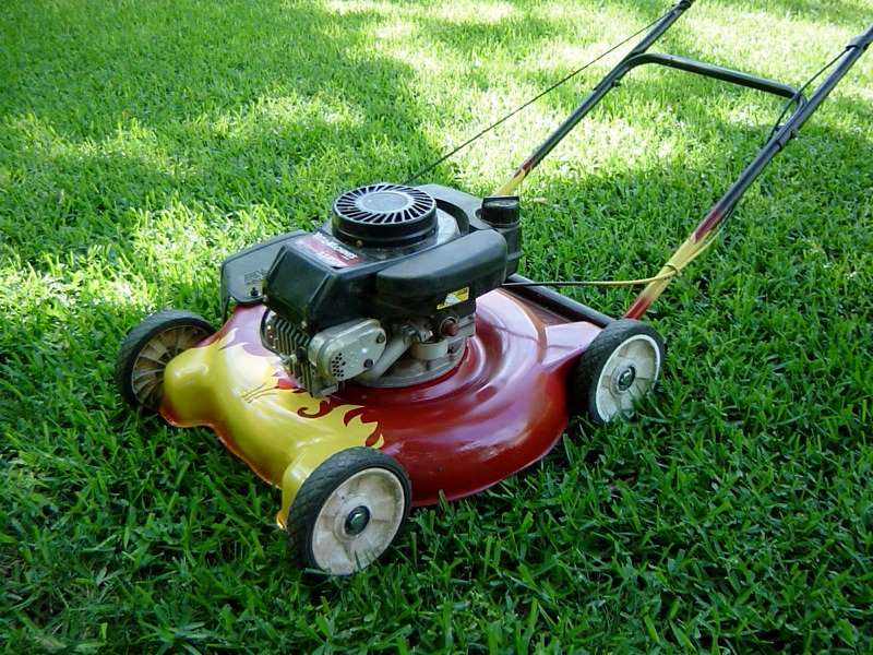 How to Recover an Overgrown Lawn