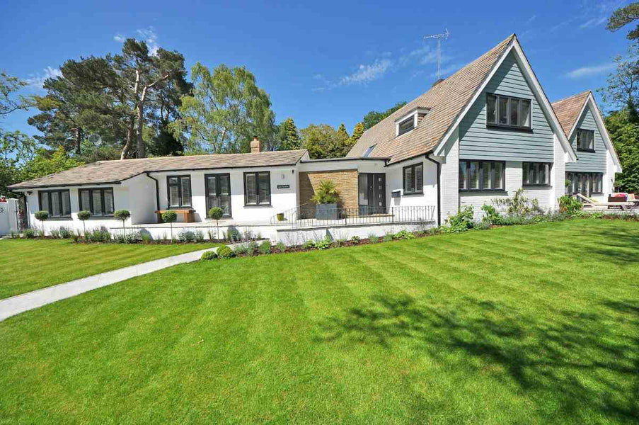 Lawn Watering Tips: How to Water Your New Grass Plugs